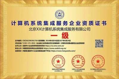 计算机系统集成服务企业资质证书 投标利器与ESCE详解